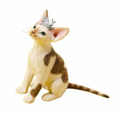 1/6 Devon Rex A3ㅤ – JXK Studio – ActionFigureBrasil