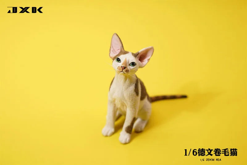 1/6 Devon Rex A3ㅤ – JXK Studio – ActionFigureBrasil