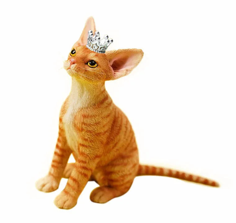 1/6 Devon Rex A4ㅤ – JXK Studio – ActionFigureBrasil