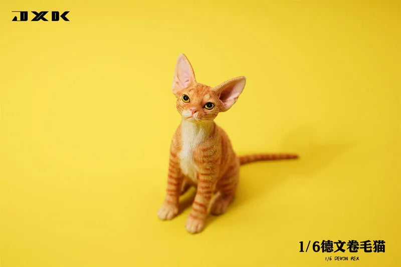 1/6 Devon Rex A4ㅤ – JXK Studio – ActionFigureBrasil