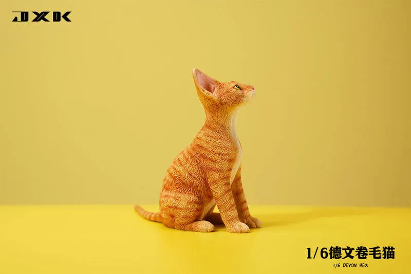 1/6 Devon Rex A4ㅤ – JXK Studio – ActionFigureBrasil