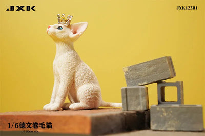 1/6 Devon Rex B1ㅤ – JXK Studio – ActionFigureBrasil — close
