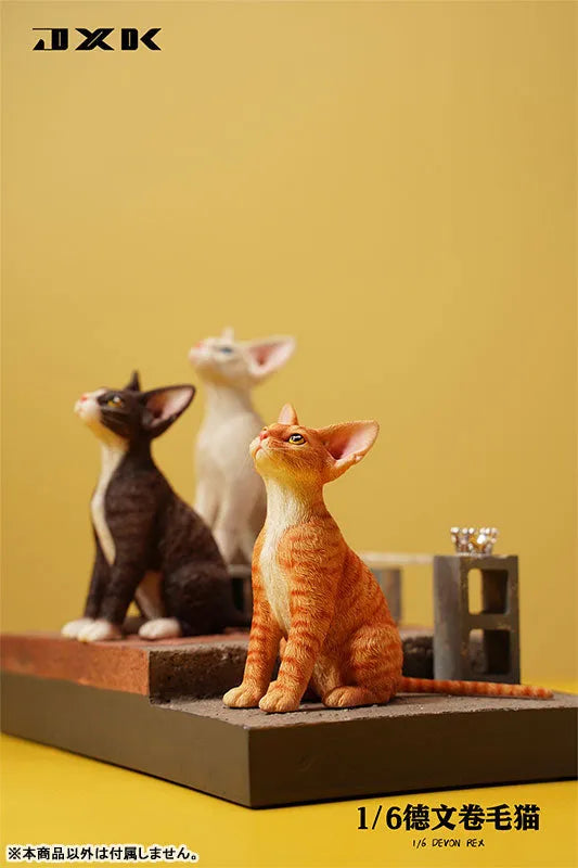 1/6 Devon Rex B2ㅤ – JXK Studio – ActionFigureBrasil