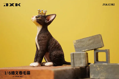 1/6 Devon Rex B2ㅤ – JXK Studio – ActionFigureBrasil — close
