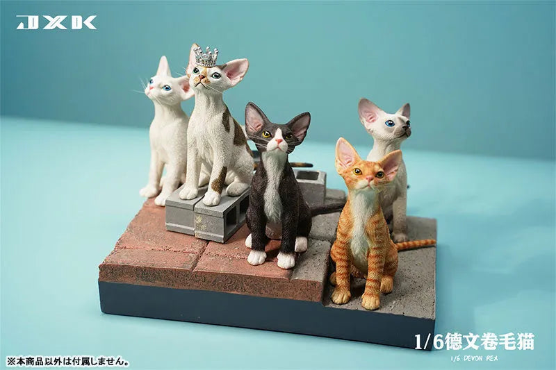 1/6 Devon Rex B2ㅤ – JXK Studio – ActionFigureBrasil