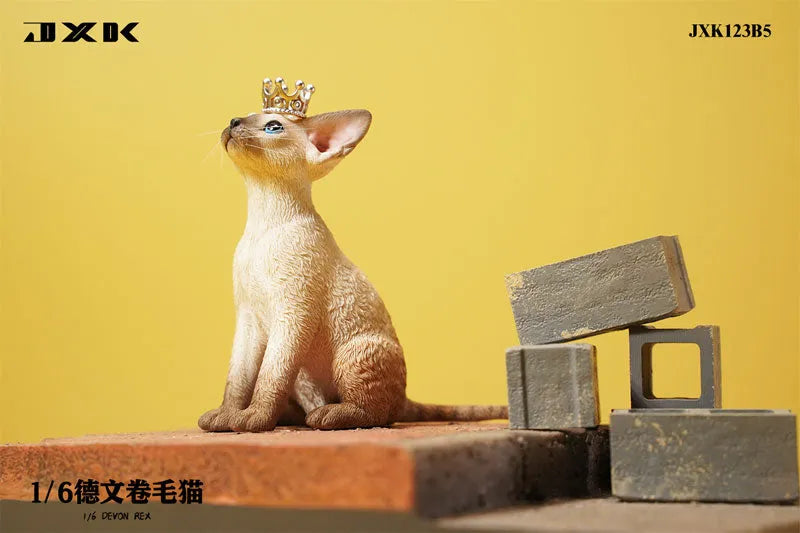 1/6 Devon Rex B5ㅤ – JXK Studio – ActionFigureBrasil