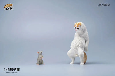 1/6 Exotic Shorthair Cat Aㅤ – JXK Studio – ActionFigureBrasil