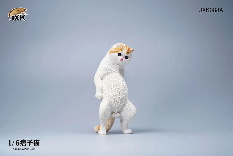 1/6 Exotic Shorthair Cat Aㅤ – JXK Studio – ActionFigureBrasil