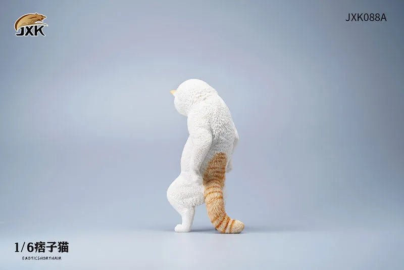 1/6 Exotic Shorthair Cat Aㅤ – JXK Studio – ActionFigureBrasil
