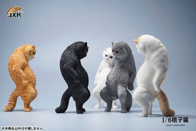 1/6 Exotic Shorthair Cat Aㅤ – JXK Studio – ActionFigureBrasil — embalagem