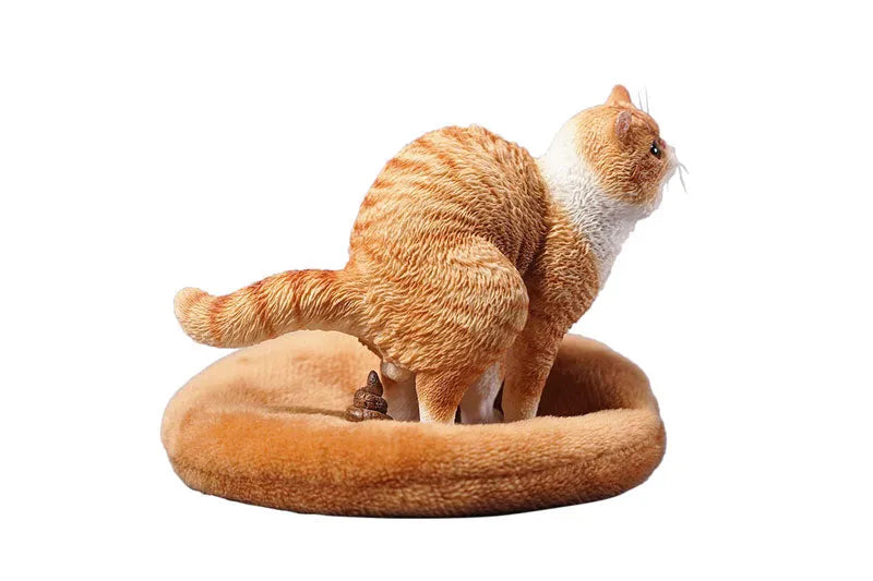 1/6 Exotic Shorthair Cat Half Squat Cㅤ – JXK Studio – ActionFigureBrasil