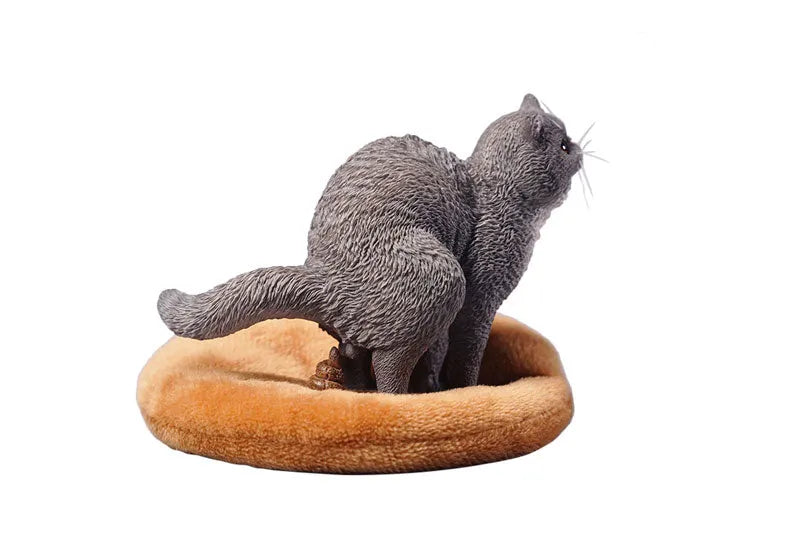 1/6 Exotic Shorthair Cat Half Squat Dㅤ – JXK Studio – ActionFigureBrasil