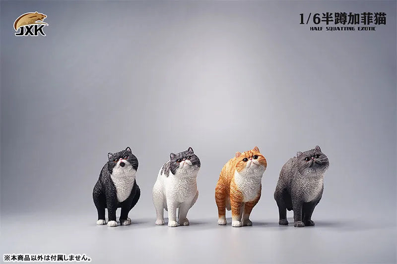 1/6 Exotic Shorthair Cat Half Squat Dㅤ – JXK Studio – ActionFigureBrasil
