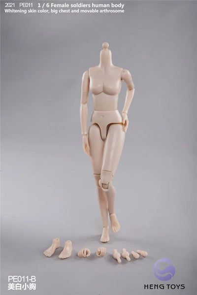 1/6 Female Soldier Human Body (Body) Pale/ Small Bust Bㅤ – HENG Toys – ActionFigureBrasil — detalhe do produto