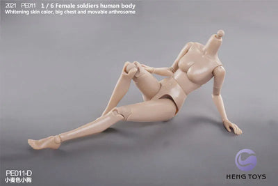 1/6 Female Soldier Human Body (Body) Tan/ Small Bust Dㅤ – HENG Toys – ActionFigureBrasil — ângulo diferente