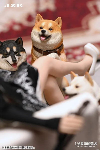 1/6 Frolicking Shiba Aㅤ – JXK Studio – ActionFigureBrasil — embalagem
