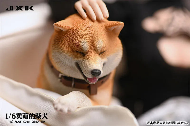 1/6 Frolicking Shiba Cㅤ – JXK Studio – ActionFigureBrasil