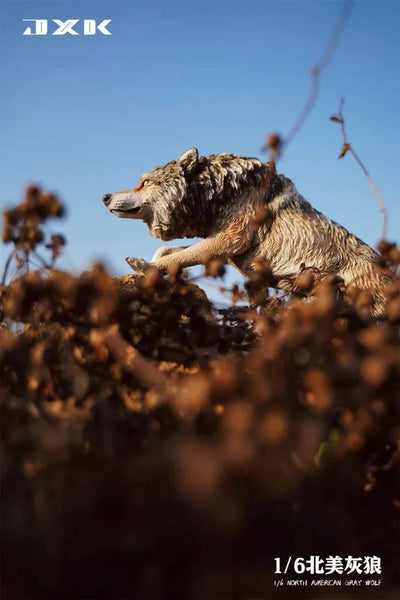 1/6 Gray Wolf Aㅤ – JXK Studio – ActionFigureBrasil — close