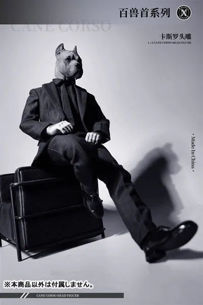 1/6 Head Cane Corso Aㅤ – Mos Toys – ActionFigureBrasil