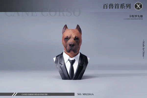 1/6 Head Cane Corso Aㅤ – Mos Toys – ActionFigureBrasil