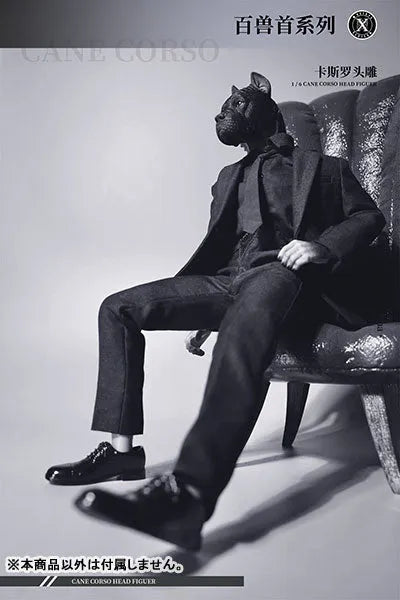 1/6 Head Cane Corso Bㅤ – Mos Toys – ActionFigureBrasil