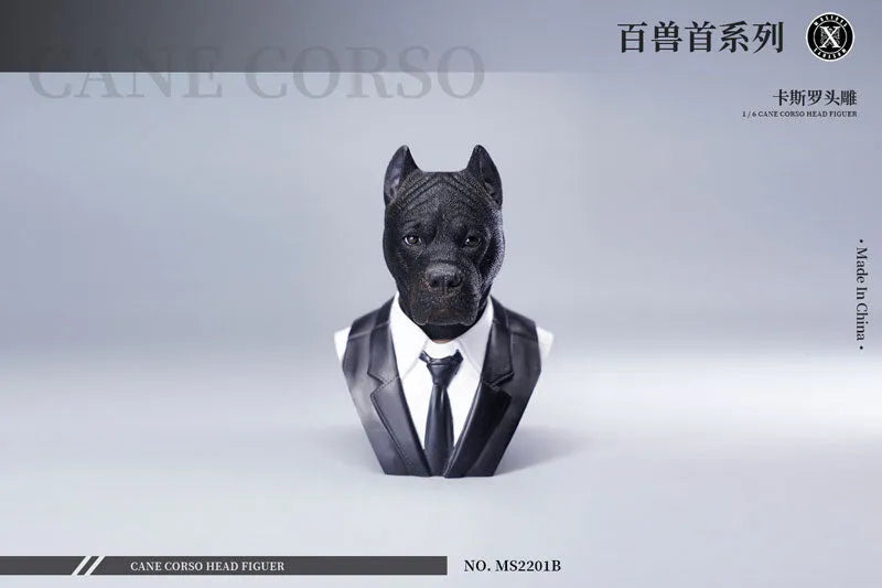 1/6 Head Cane Corso Bㅤ – Mos Toys – ActionFigureBrasil