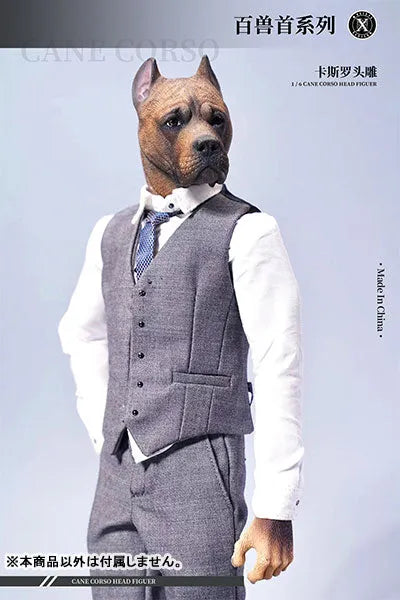 1/6 Head Cane Corso Cㅤ – Mos Toys – ActionFigureBrasil
