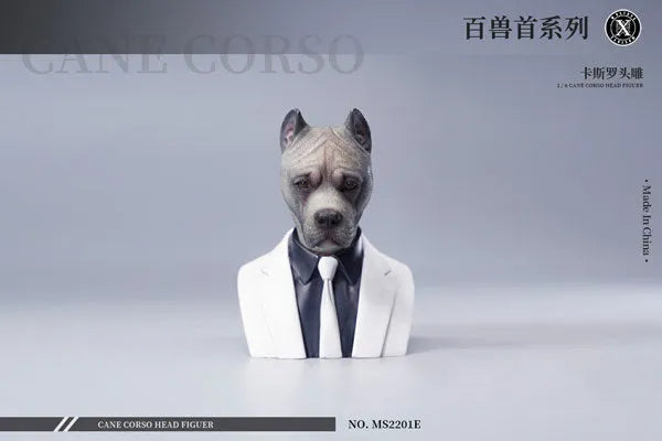1/6 Head Cane Corso Eㅤ – Mos Toys – ActionFigureBrasil
