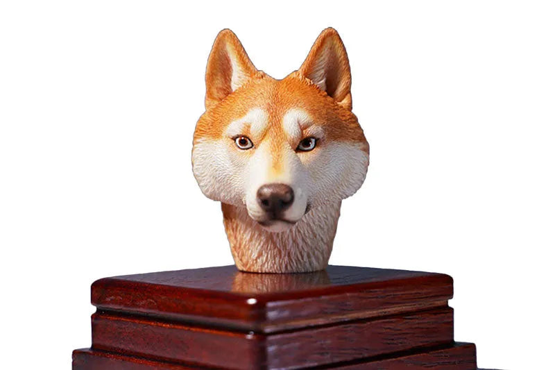 1/6 Head Husky Aㅤ – Mos Toys – ActionFigureBrasil
