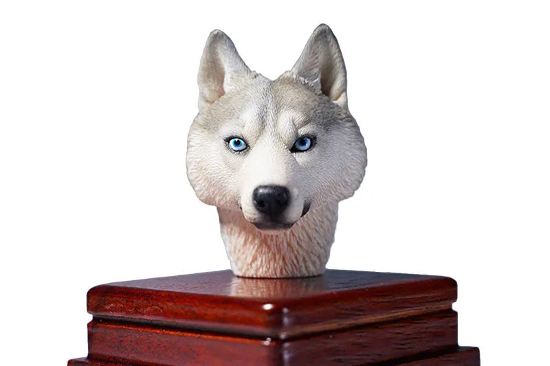 1/6 Head Husky Bㅤ – Mos Toys – ActionFigureBrasil