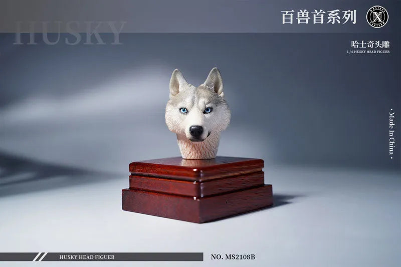 1/6 Head Husky Bㅤ – Mos Toys – ActionFigureBrasil