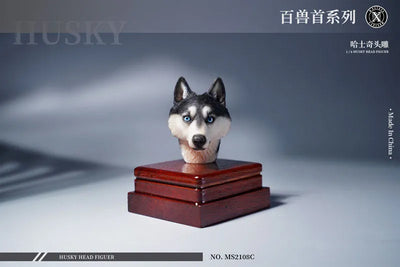 1/6 Head Husky Cㅤ – Mos Toys – ActionFigureBrasil — close