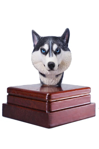 1/6 Head Husky Dㅤ – Mos Toys – ActionFigureBrasil