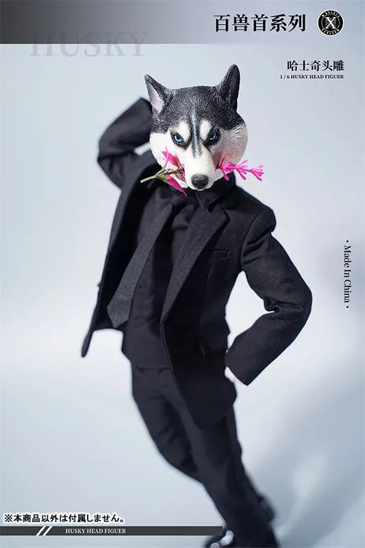 1/6 Head Husky Dㅤ – Mos Toys – ActionFigureBrasil