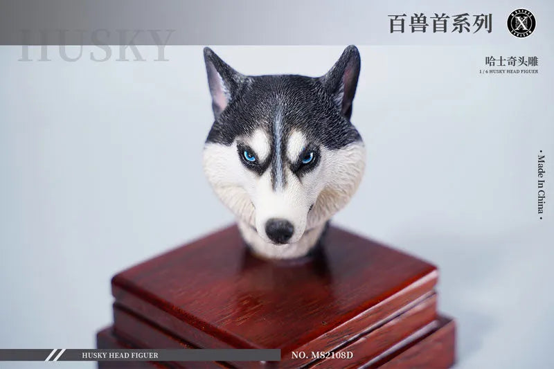 1/6 Head Husky Dㅤ – Mos Toys – ActionFigureBrasil