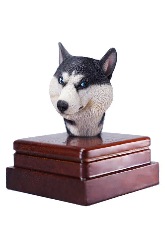 1/6 Head Husky Eㅤ – Mos Toys – ActionFigureBrasil