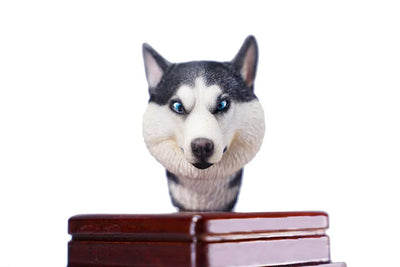 1/6 Head Husky Fㅤ – Mos Toys – ActionFigureBrasil