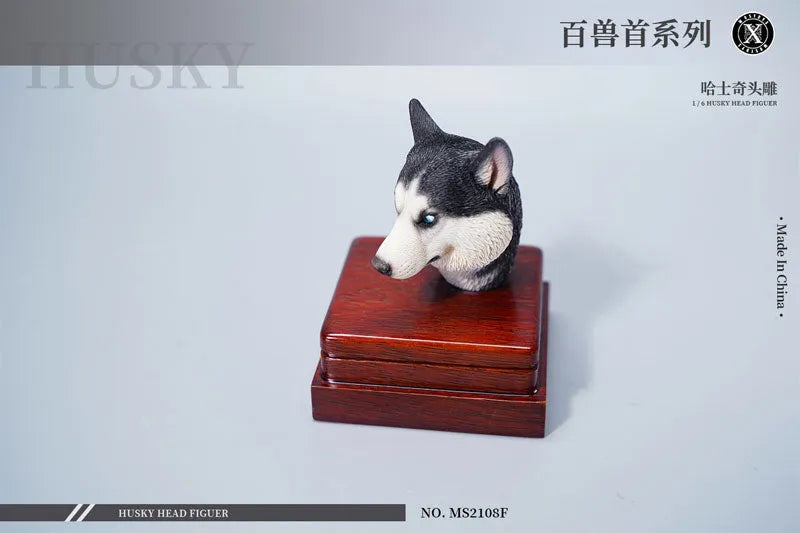 1/6 Head Husky Fㅤ – Mos Toys – ActionFigureBrasil