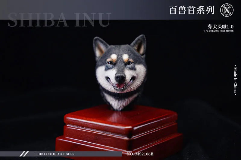 1/6 Head Shiba Inu Bㅤ – Mos Toys – ActionFigureBrasil