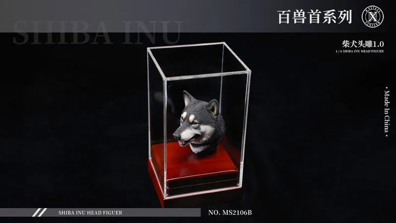 1/6 Head Shiba Inu Bㅤ – Mos Toys – ActionFigureBrasil
