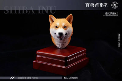 1/6 Head Shiba Inu Cㅤ – Mos Toys – ActionFigureBrasil
