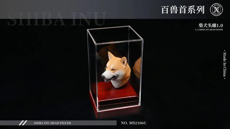 1/6 Head Shiba Inu Cㅤ – Mos Toys – ActionFigureBrasil