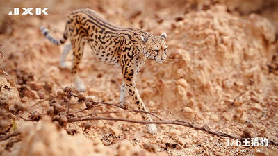 1/6 King Cheetahㅤ – JXK Studio – ActionFigureBrasil — ângulo diferente