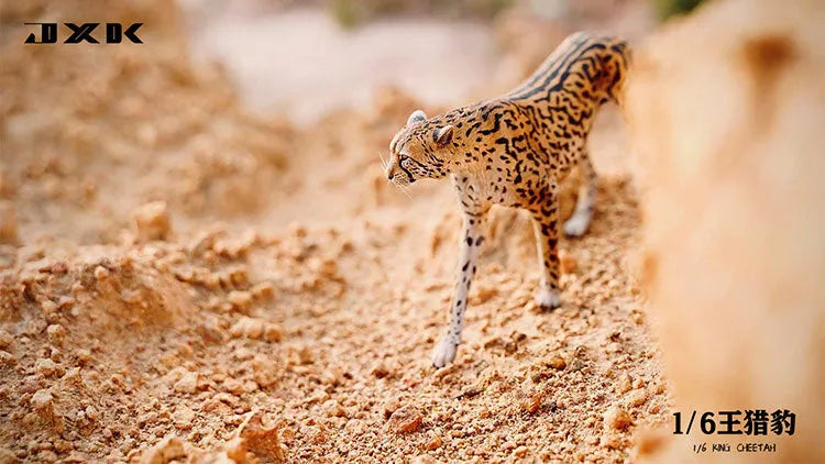 1/6 King Cheetahㅤ – JXK Studio – ActionFigureBrasil