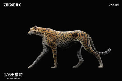 1/6 King Cheetahㅤ – JXK Studio – ActionFigureBrasil — embalagem