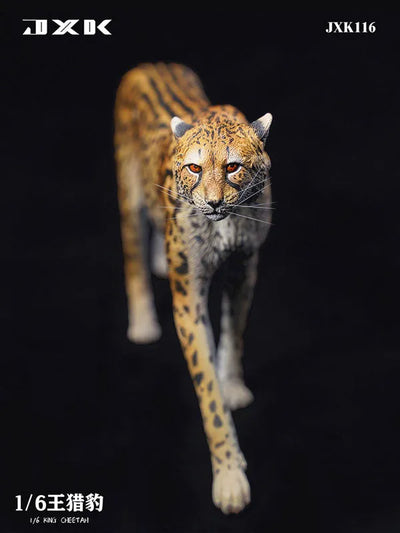 1/6 King Cheetahㅤ – JXK Studio – ActionFigureBrasil — acessórios
