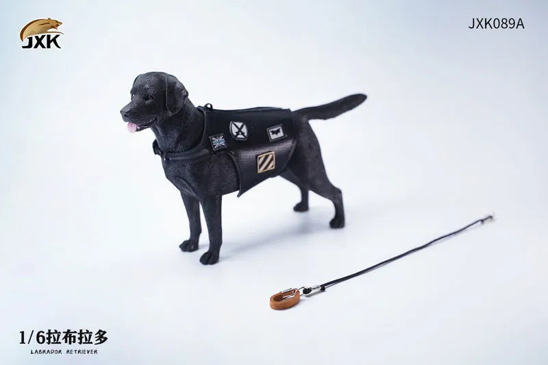 1/6 Labrador Aㅤ – JXK Studio – ActionFigureBrasil