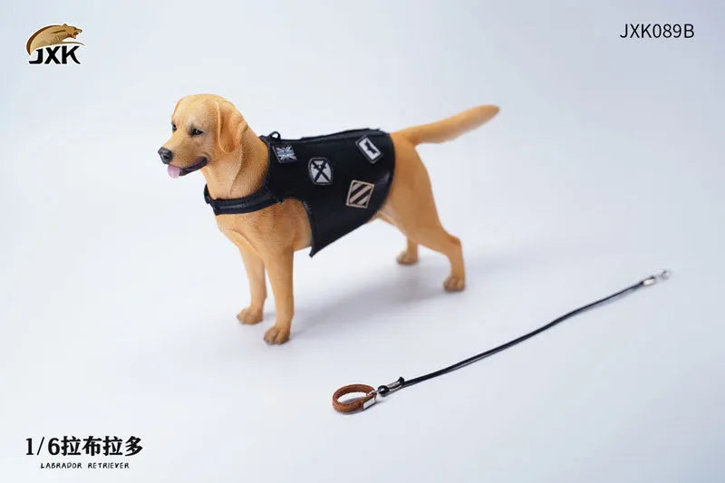 1/6 Labrador Bㅤ – JXK Studio – ActionFigureBrasil
