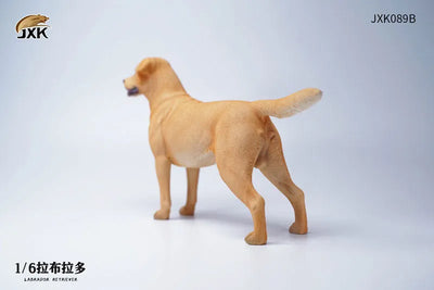 1/6 Labrador Bㅤ – JXK Studio – ActionFigureBrasil — detalhe do produto