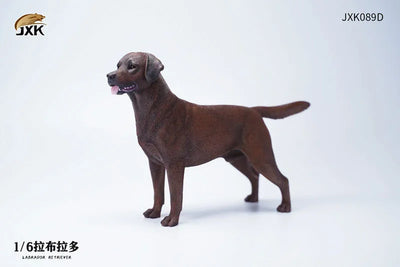 1/6 Labrador Dㅤ – JXK Studio – ActionFigureBrasil